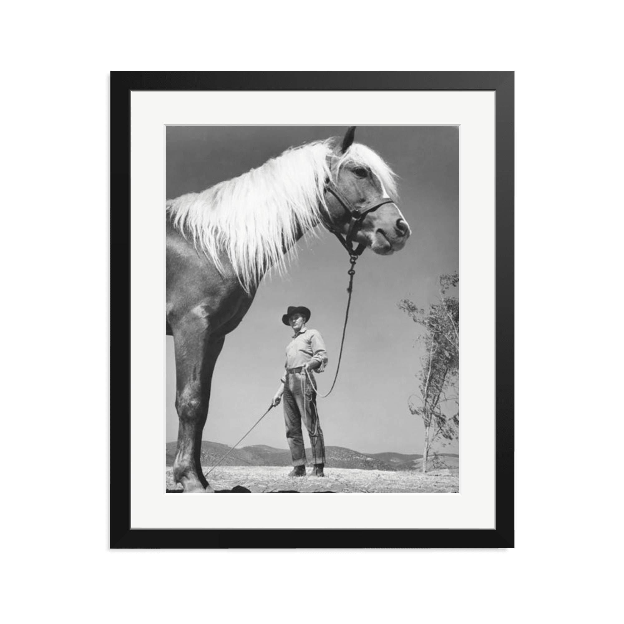 Robert Mitchum - 'The Red Pony' - Paranoid Ranch