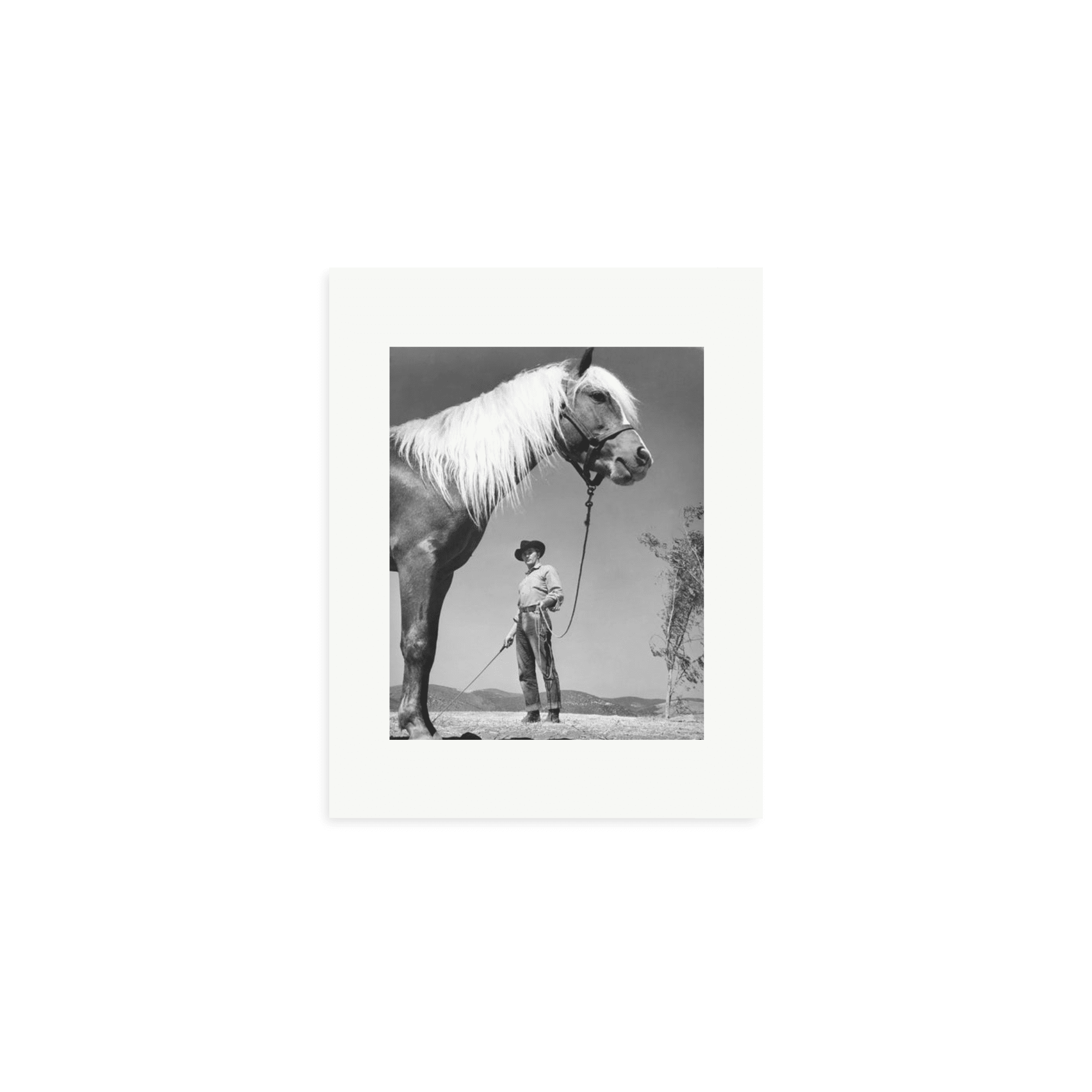 Robert Mitchum - 'The Red Pony' - Paranoid Ranch