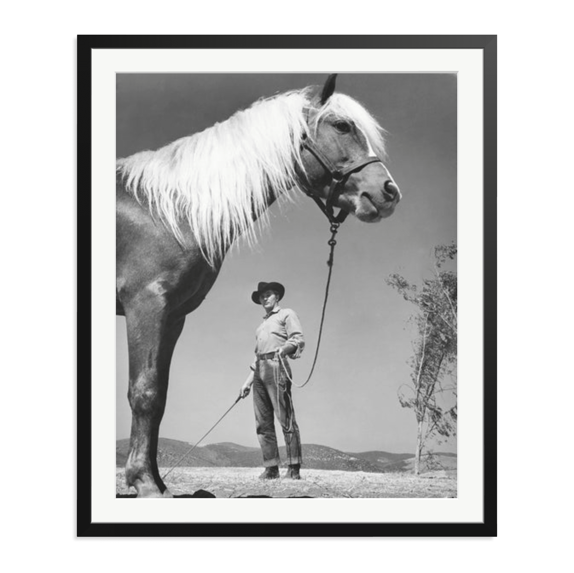Robert Mitchum - 'The Red Pony' - Paranoid Ranch