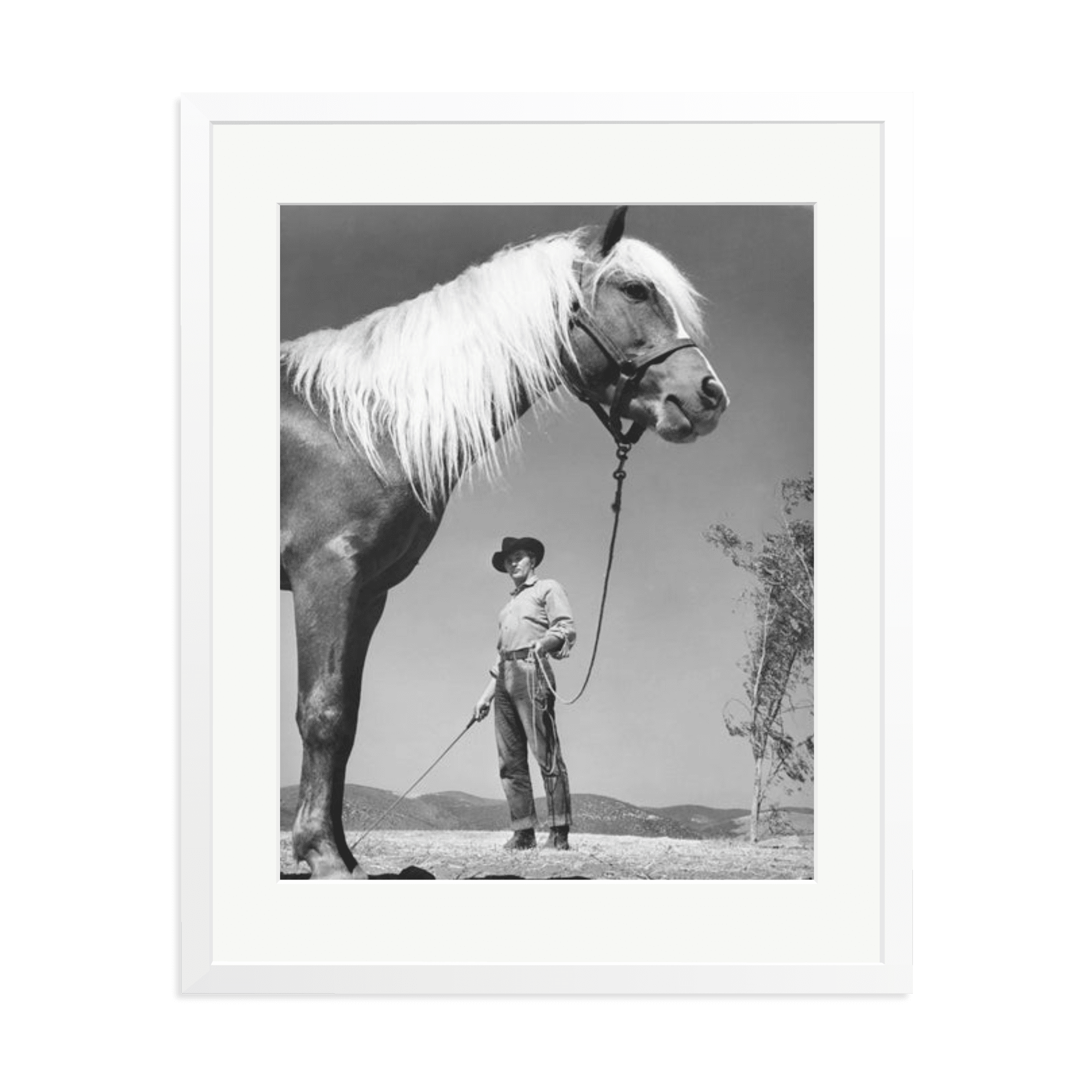 Robert Mitchum - 'The Red Pony' - Paranoid Ranch