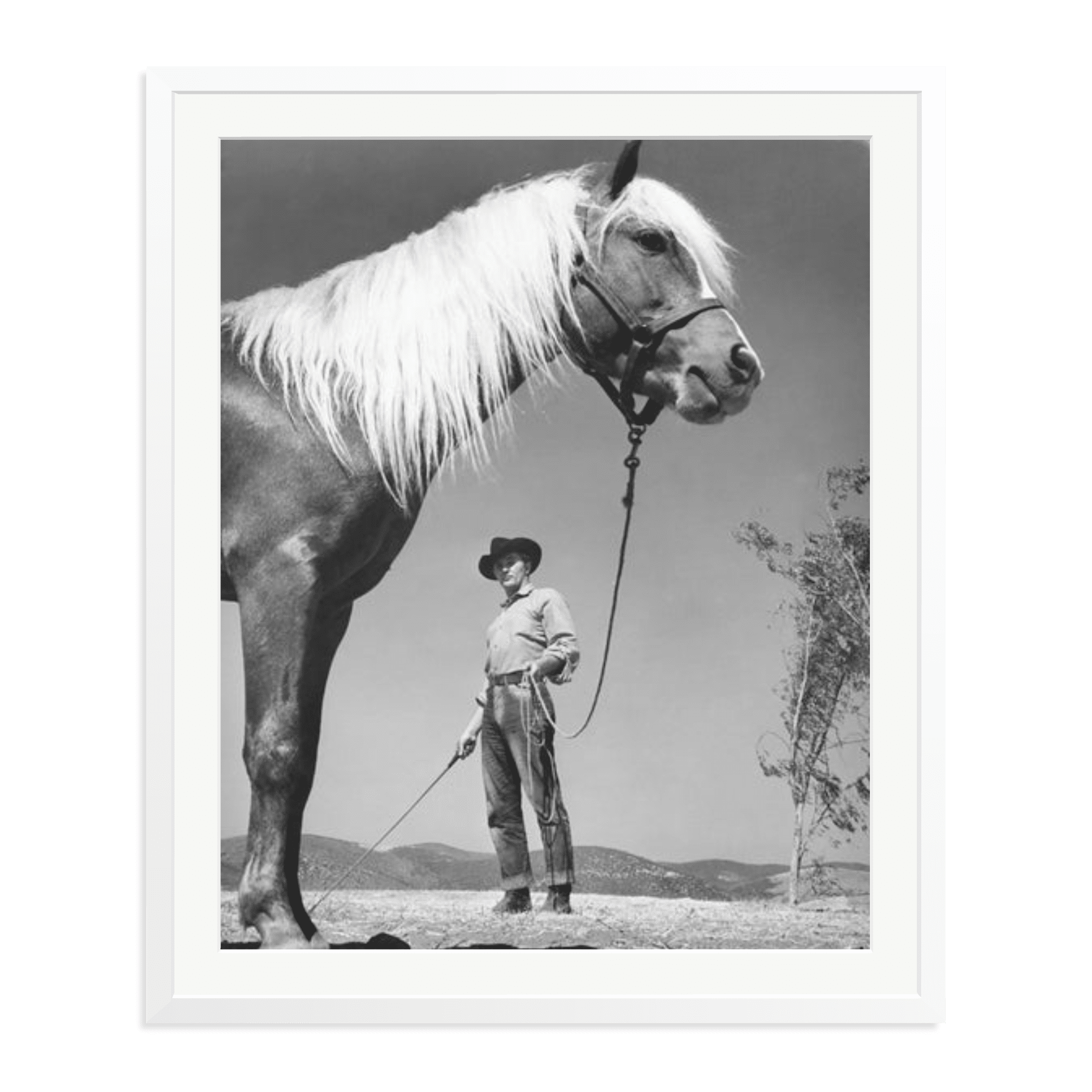 Robert Mitchum - 'The Red Pony' - Paranoid Ranch