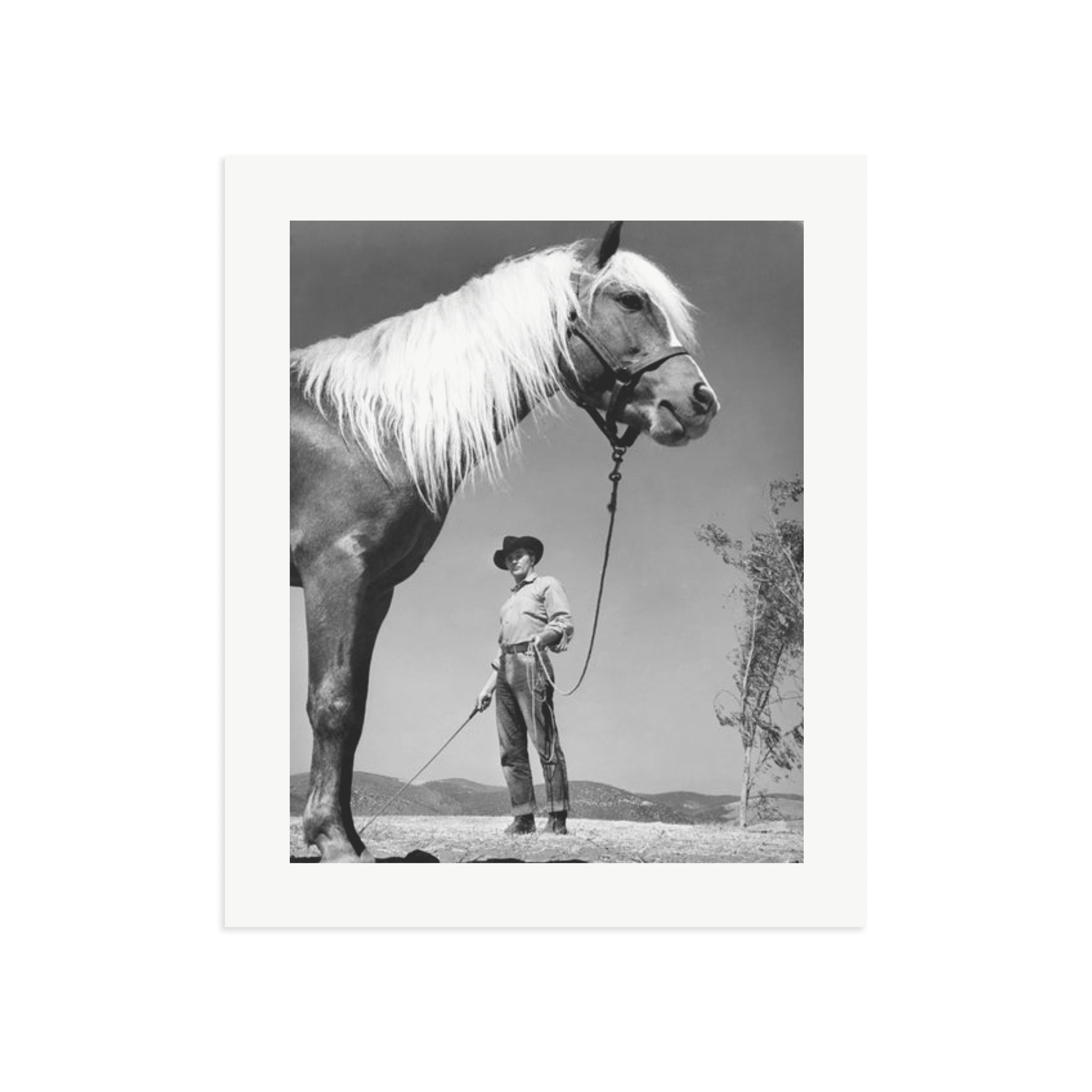 Robert Mitchum - 'The Red Pony' - Paranoid Ranch