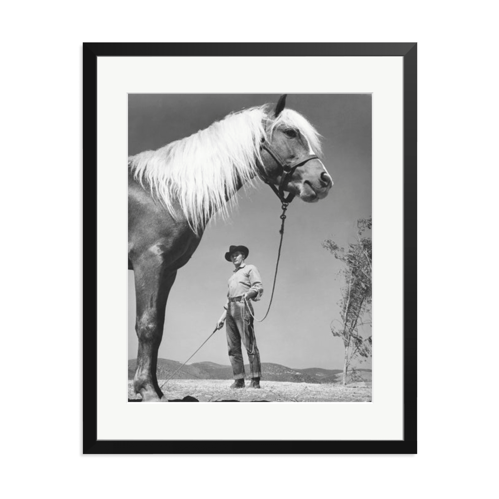 Robert Mitchum - 'The Red Pony' - Paranoid Ranch