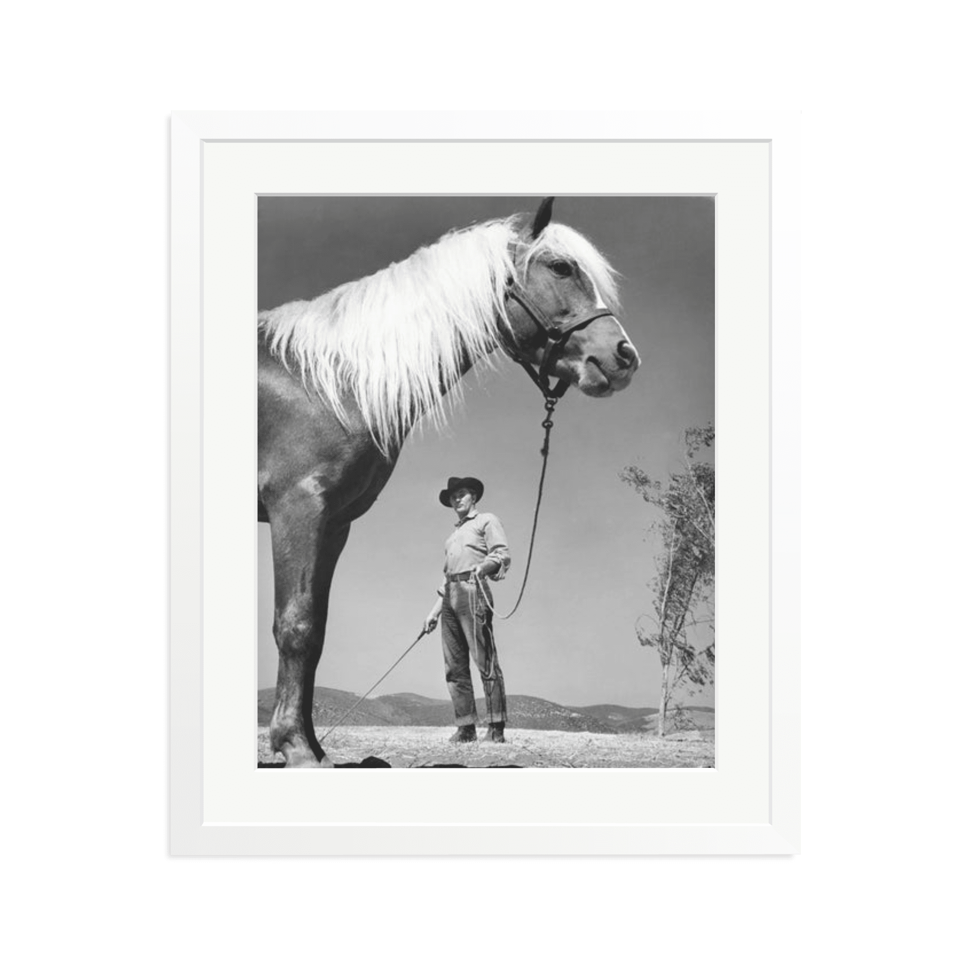 Robert Mitchum - 'The Red Pony' - Paranoid Ranch