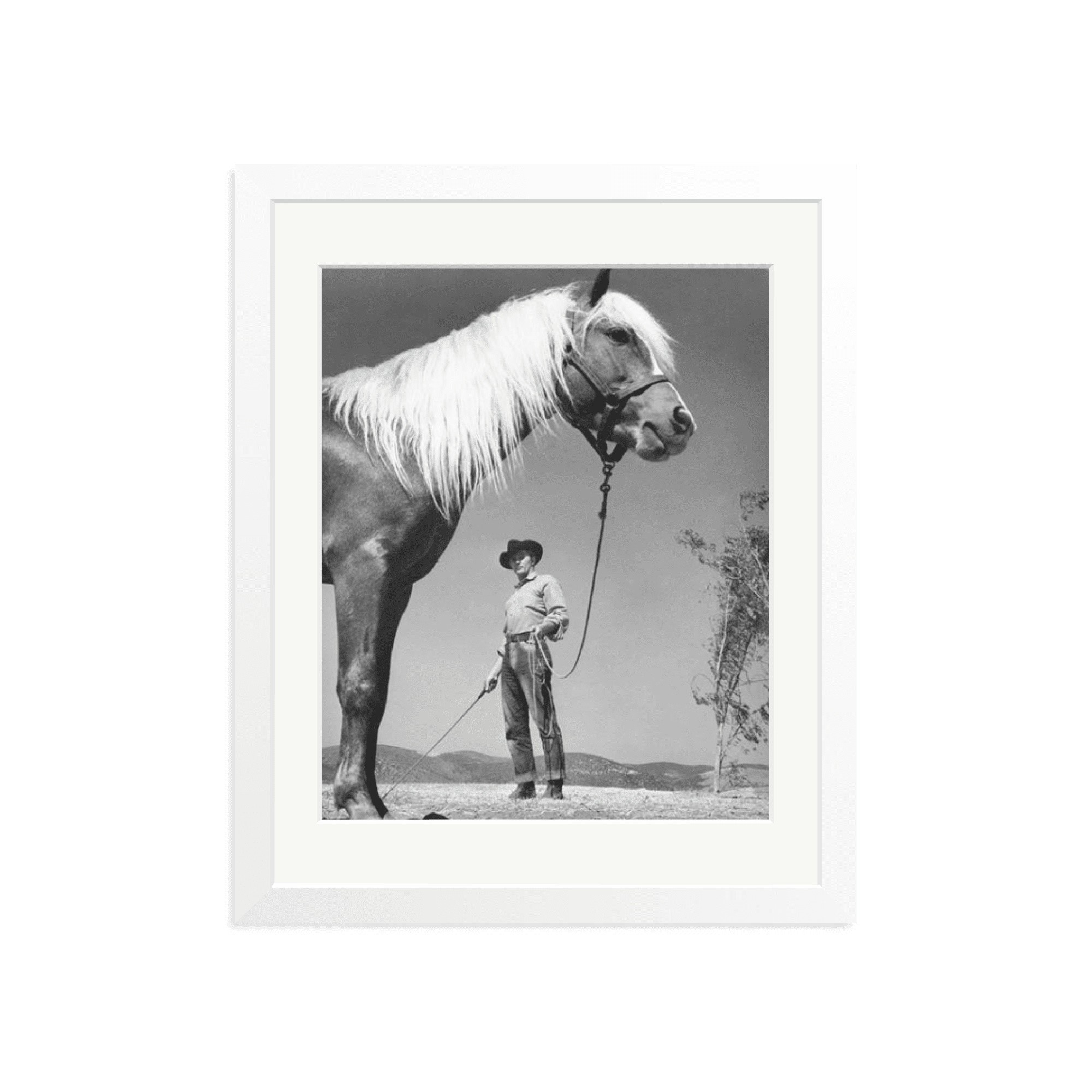 Robert Mitchum - 'The Red Pony' - Paranoid Ranch