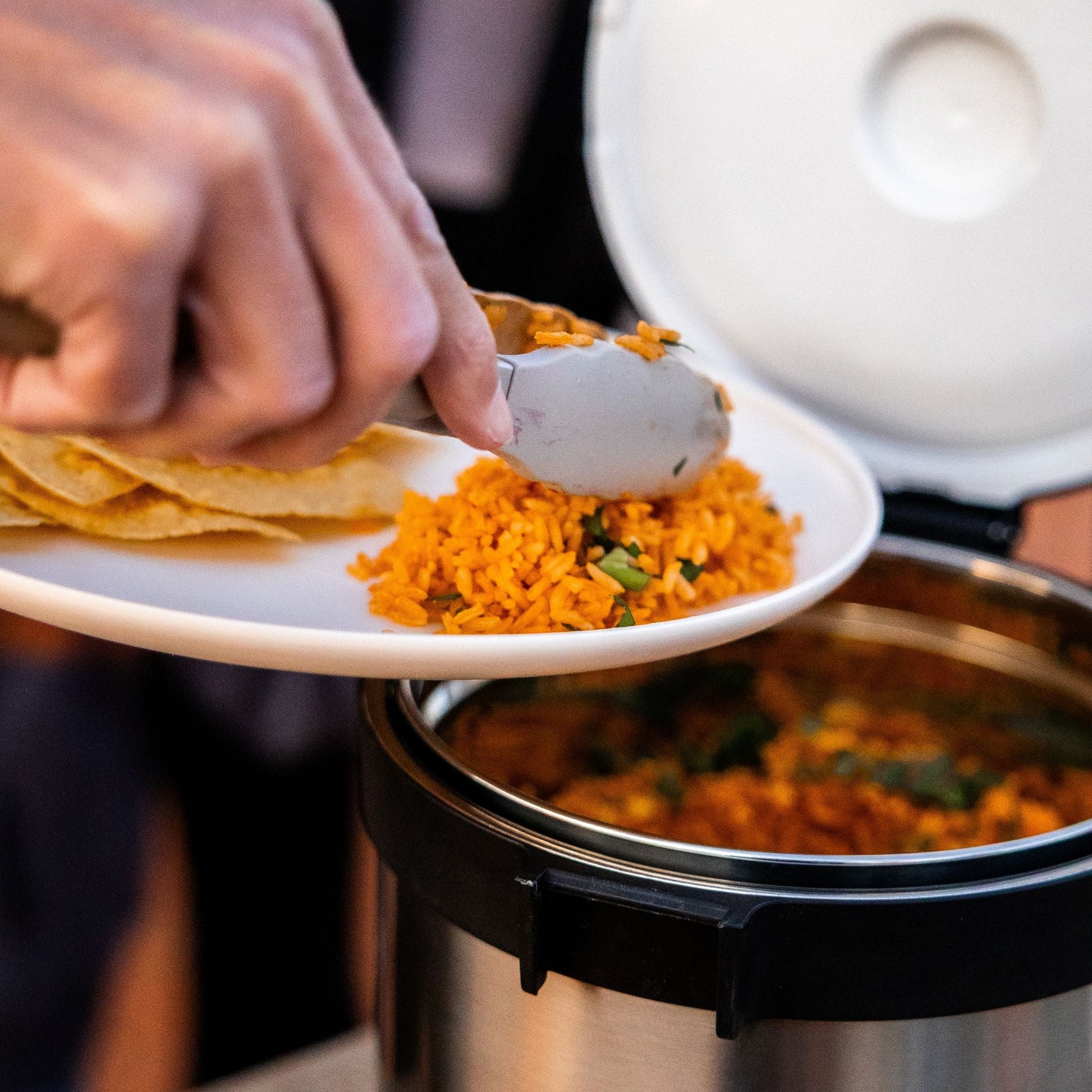 RockPot Mini Bundle - Portable Cooker - Paranoid Ranch