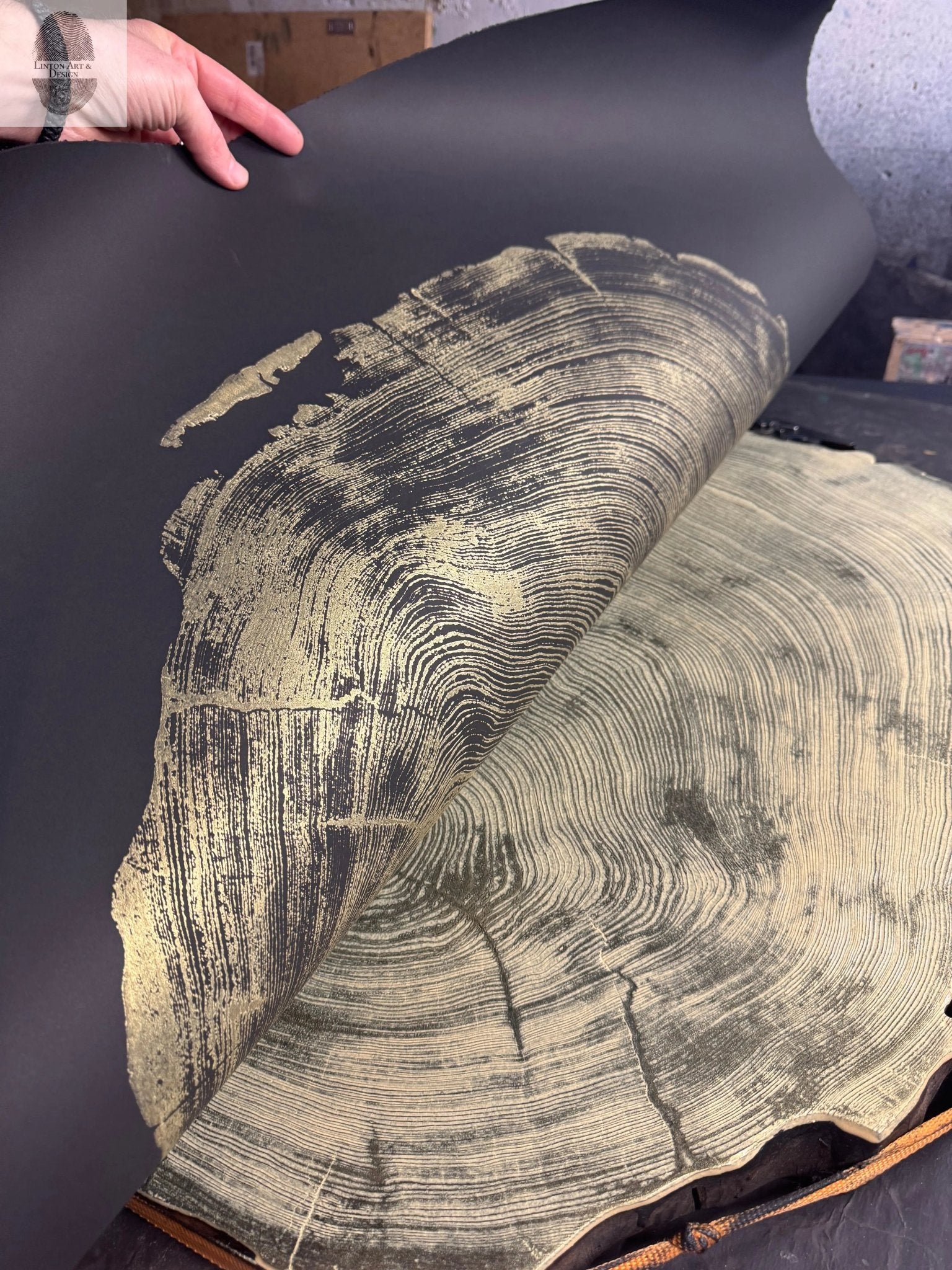 San Francisco Redwood. Gold and Black, 36x48 Inches. - Paranoid Ranch