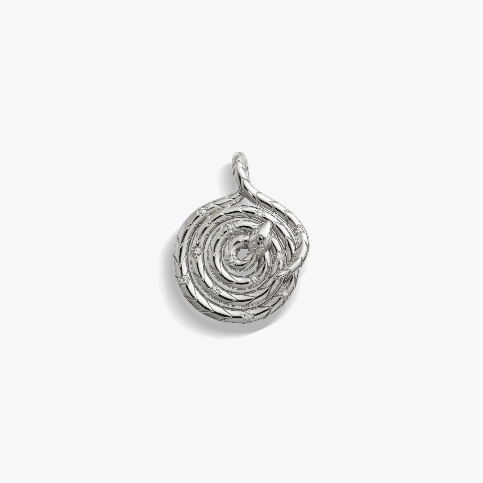 Sapphire Spiral Snake Coin - Paranoid Ranch