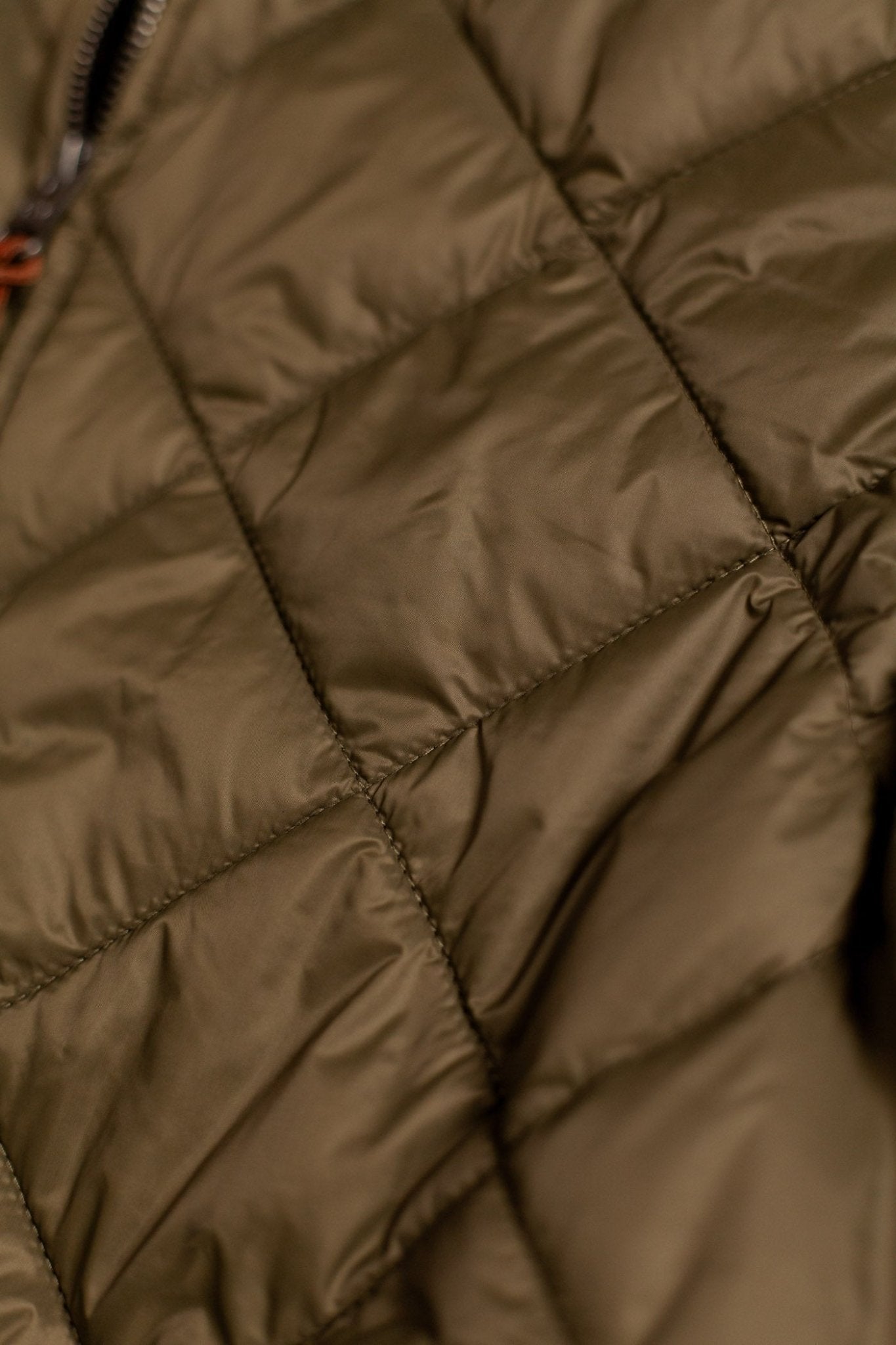 Shasta Jacket - Paranoid Ranch