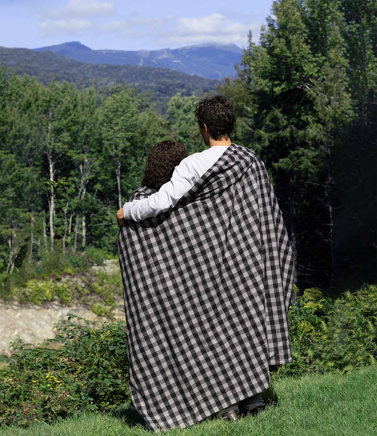 Stadium Blanket - Gray Buffalo - Paranoid Ranch