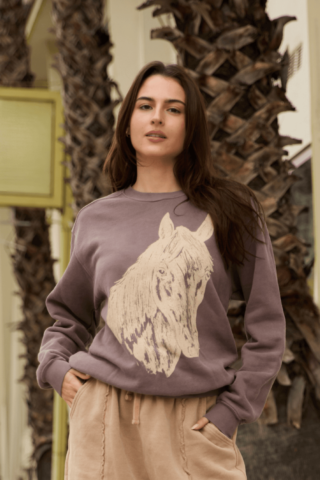 Stallion Sweatshirt - Paranoid Ranch