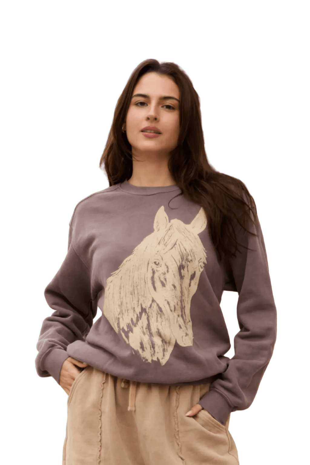 Stallion Sweatshirt - Paranoid Ranch