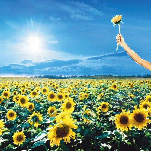 Stone Temple Pilots - Thank You [2LP] - Paranoid Ranch