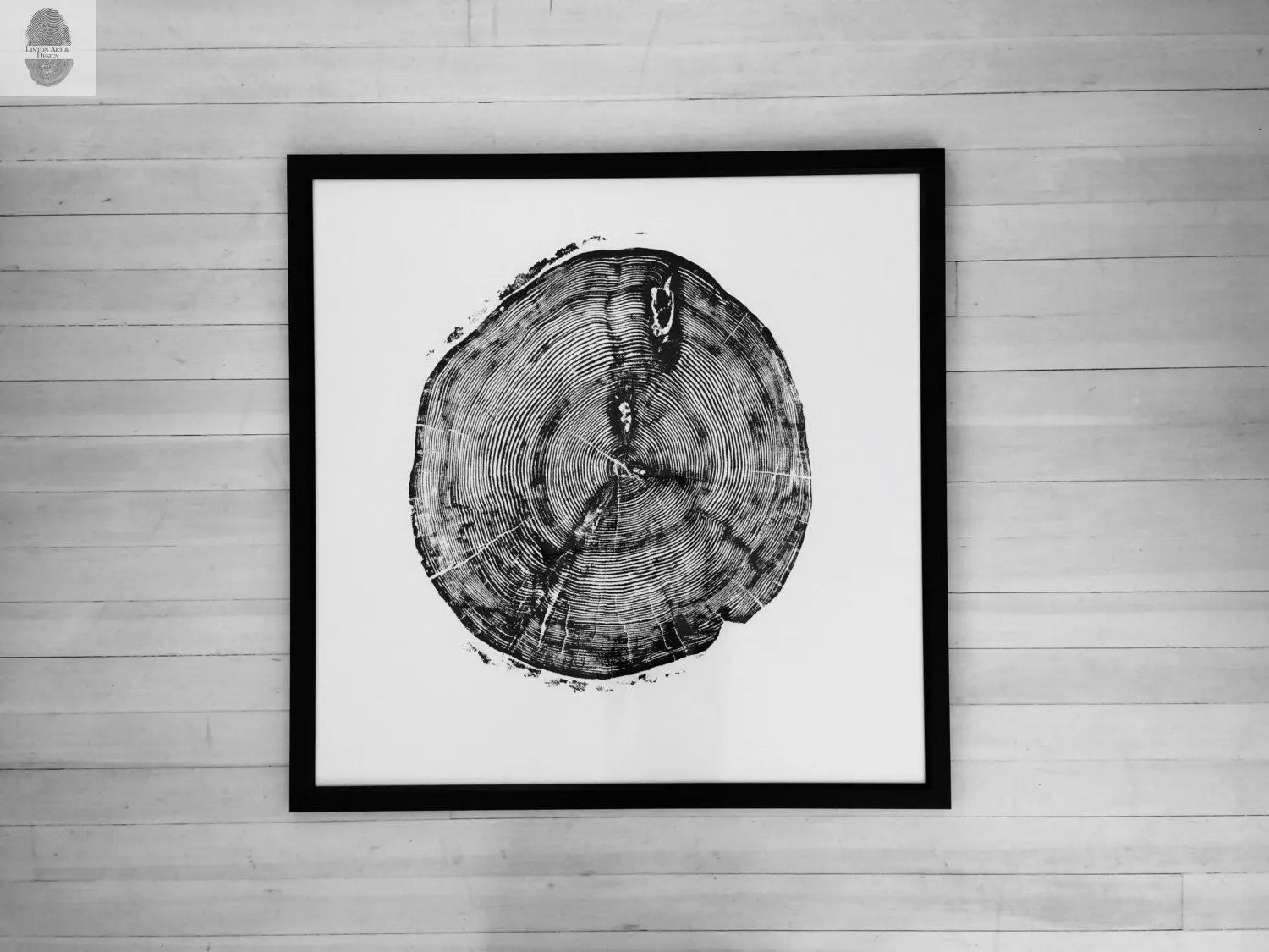 Sundance Canyon, Utah, White Pine - 36x36 Print - Paranoid Ranch
