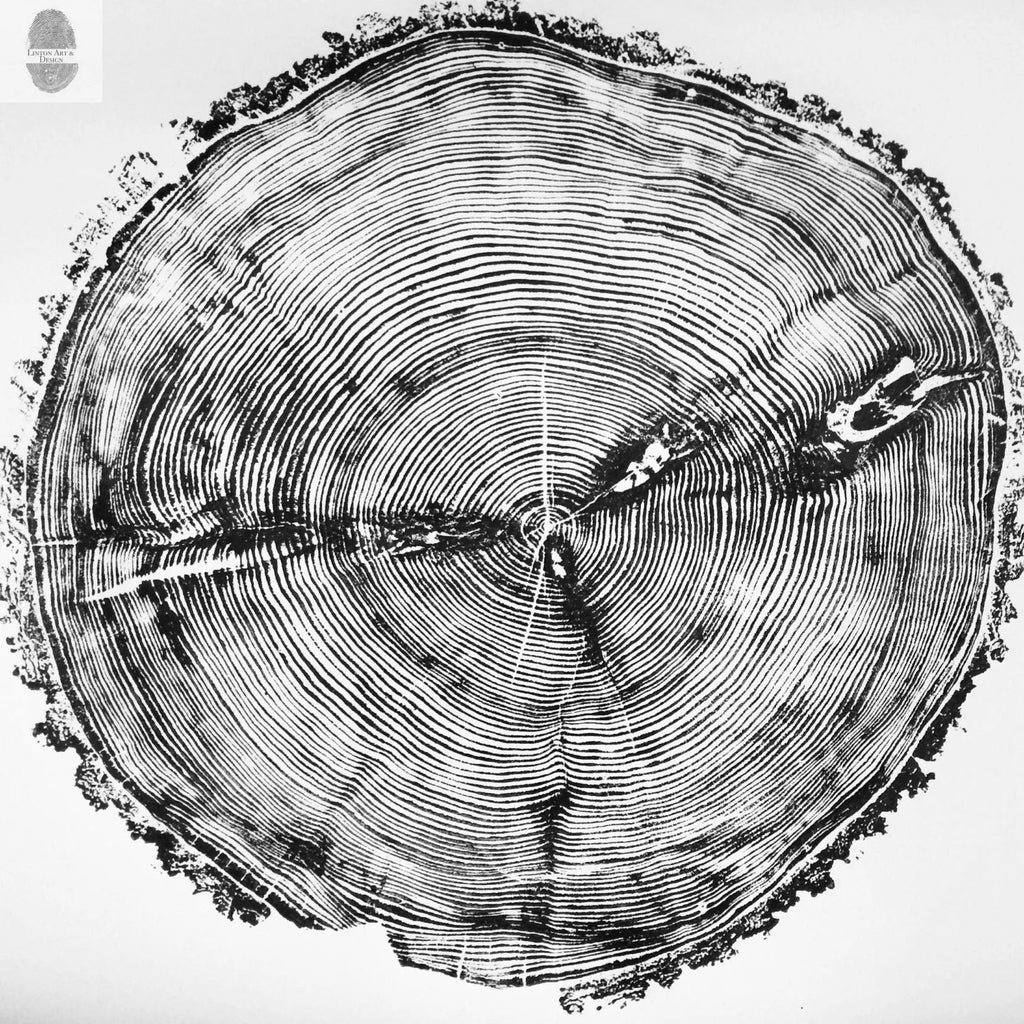 Sundance Canyon, Utah, White Pine - 36x36 Print - Paranoid Ranch