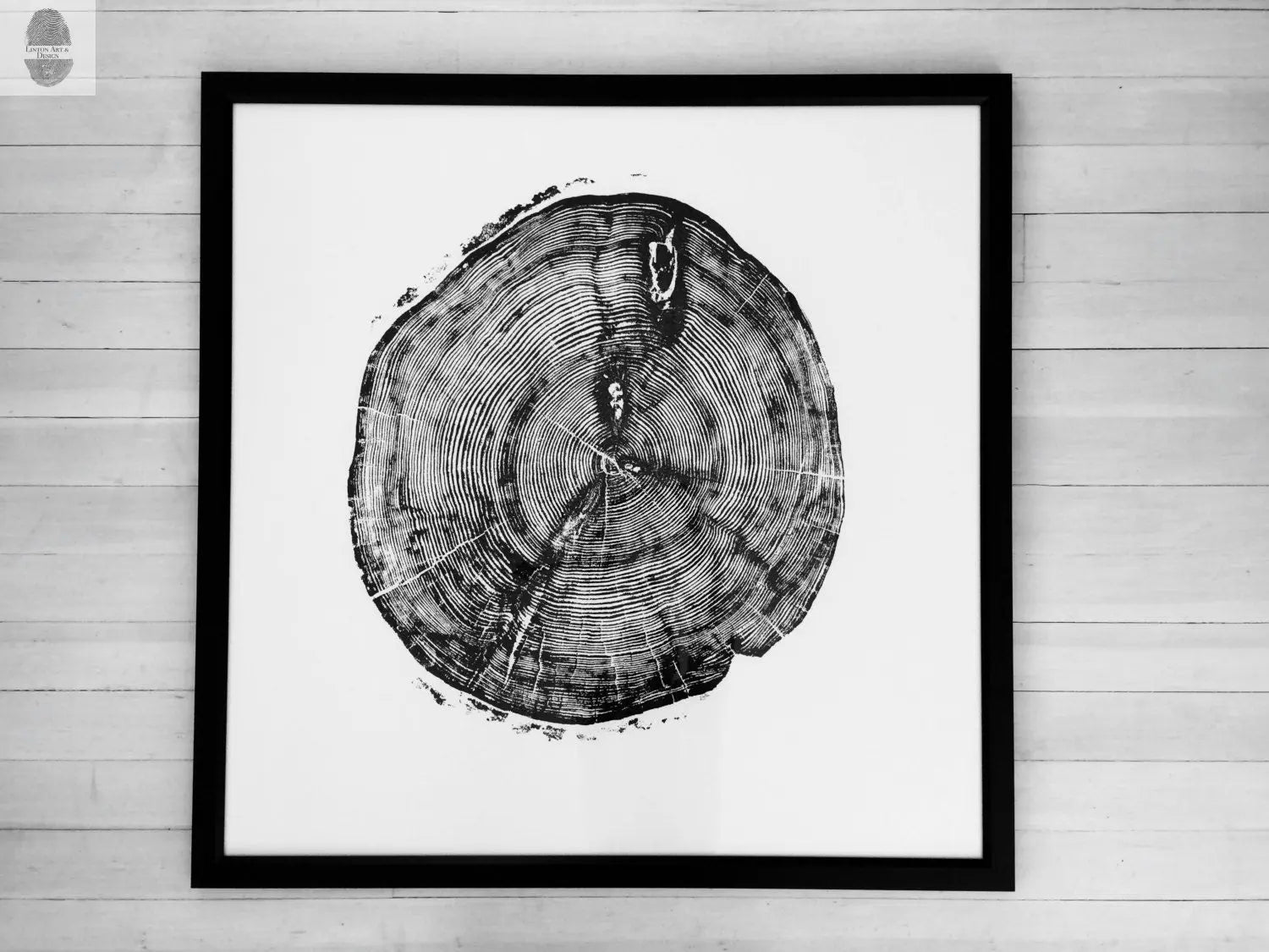 Sundance Canyon, Utah, White Pine - 36x36 Print - Paranoid Ranch