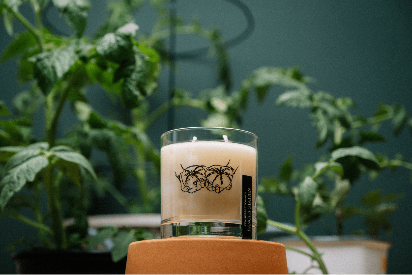 Tennessee Tomato Candle - Paranoid Ranch