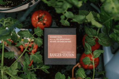 Tennessee Tomato Candle - Paranoid Ranch
