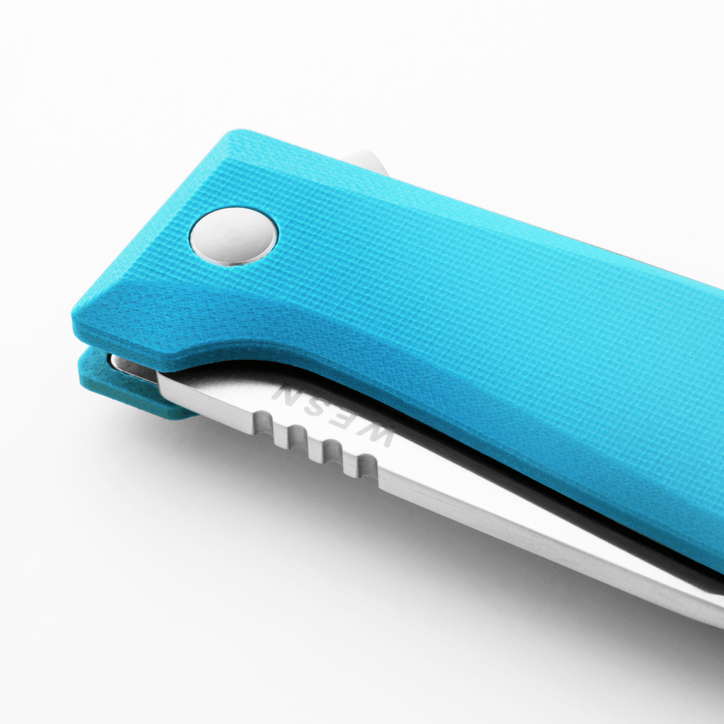 The Allman - Paranoid Ranch