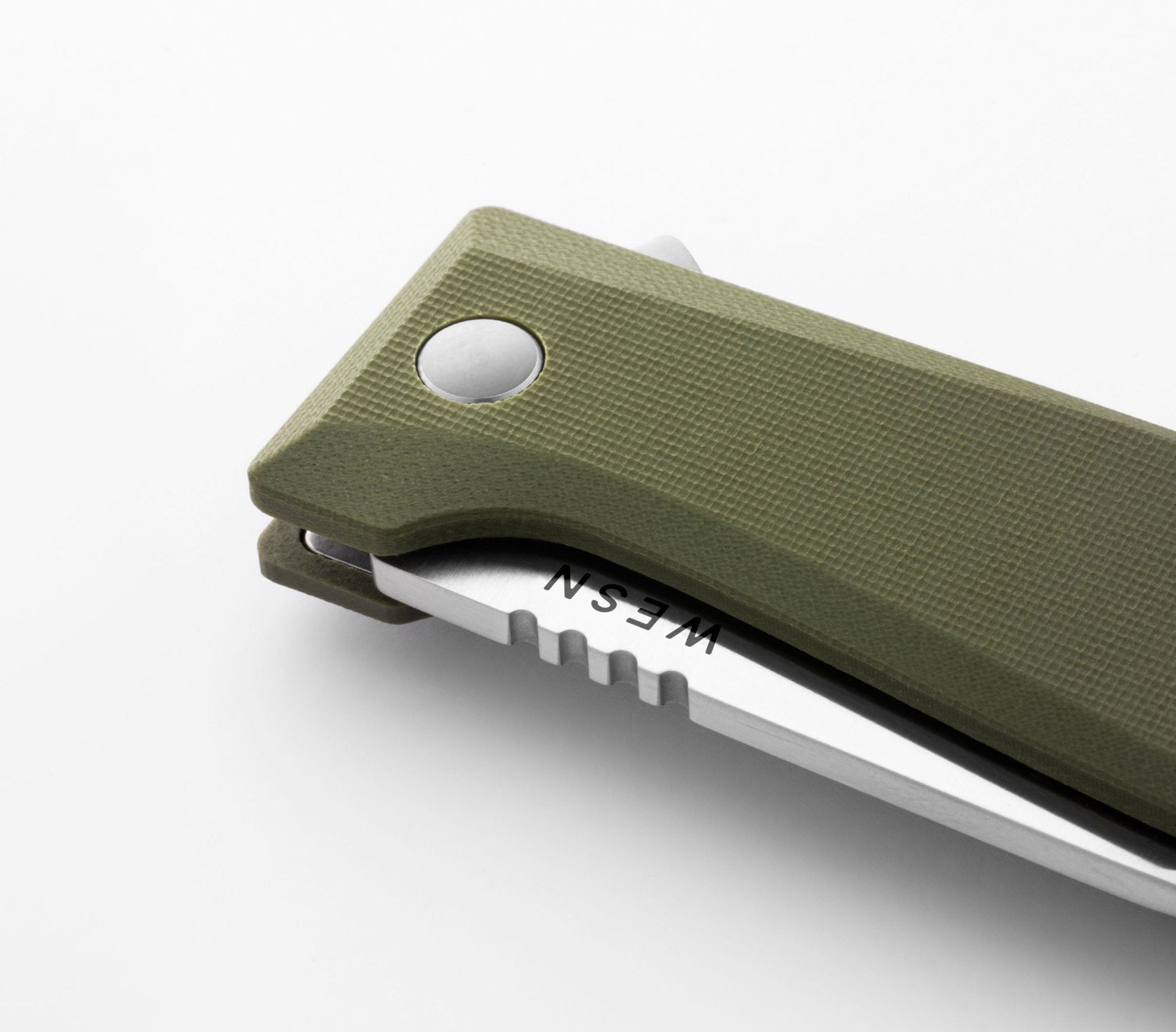 The Allman - Paranoid Ranch