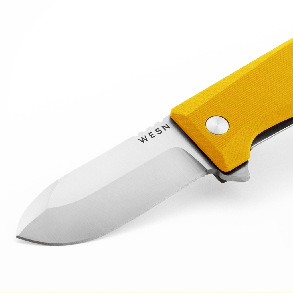 The Allman - Paranoid Ranch