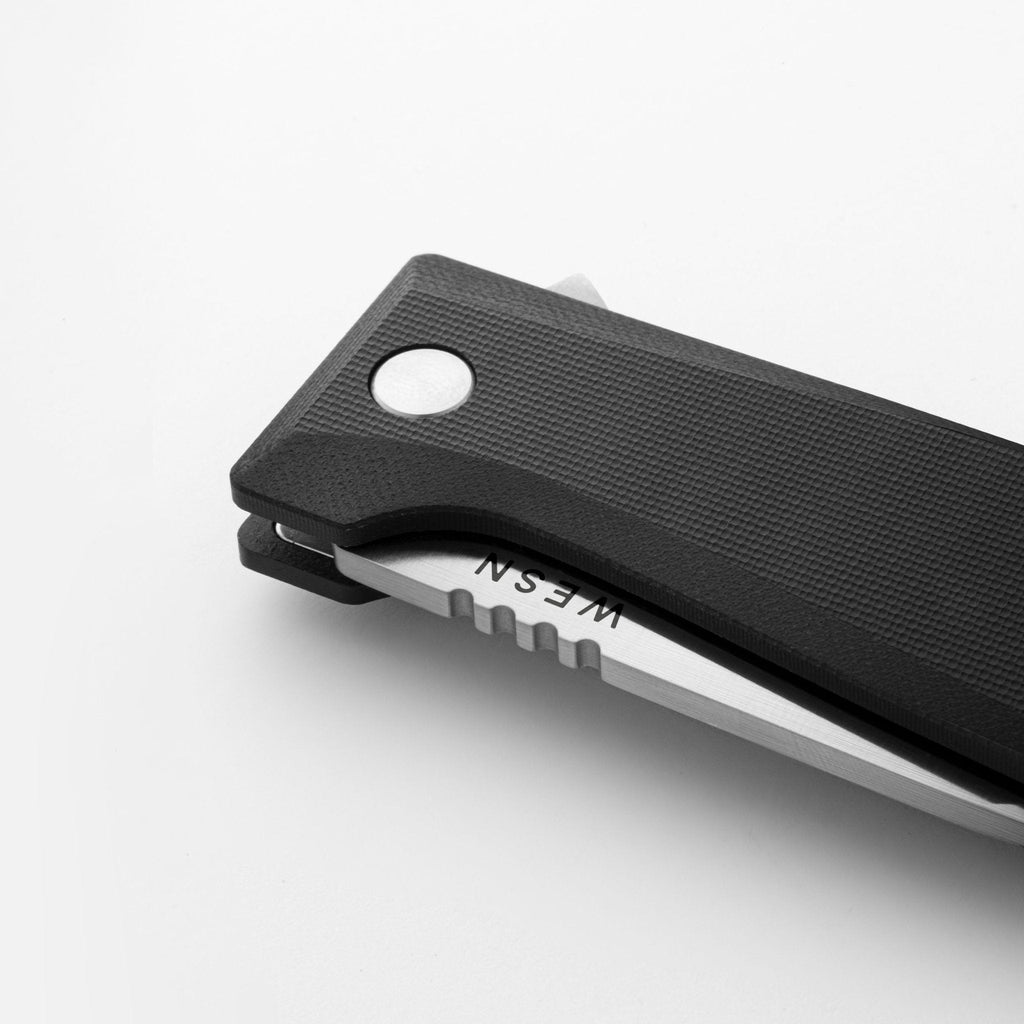 The Allman - Paranoid Ranch