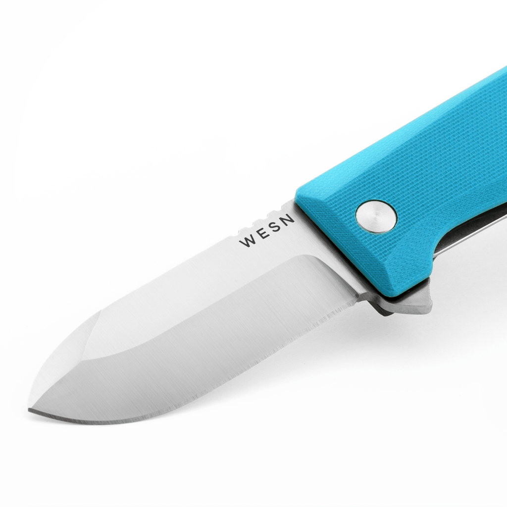 The Allman - Paranoid Ranch