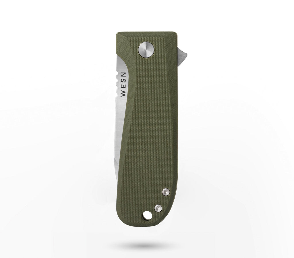 The Allman - Paranoid Ranch