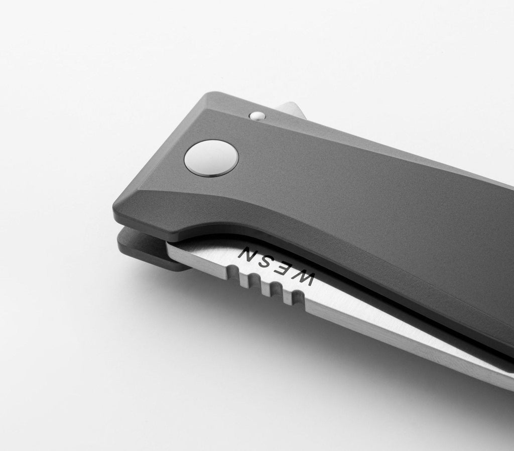 The Allman - Paranoid Ranch