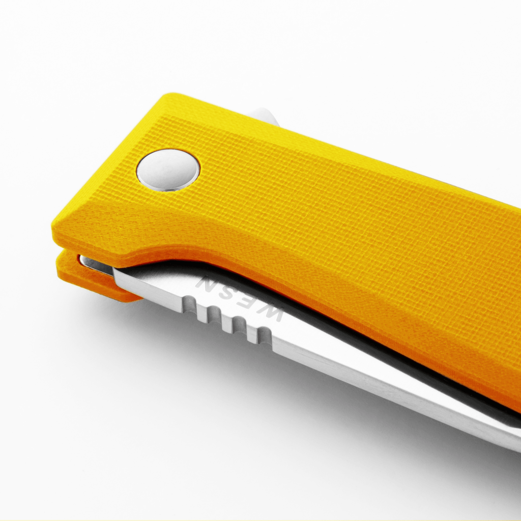 The Allman - Paranoid Ranch