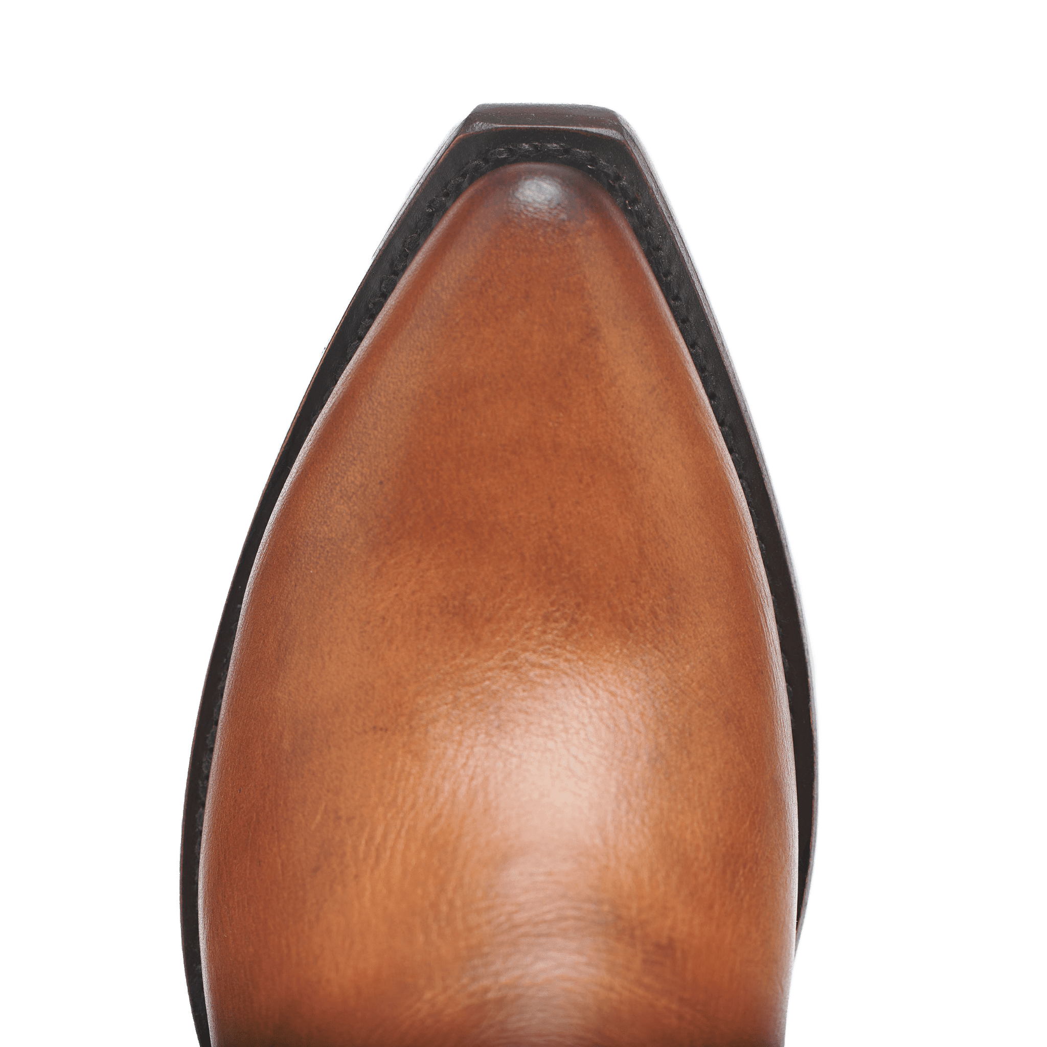 THE BFG II - Paranoid Ranch