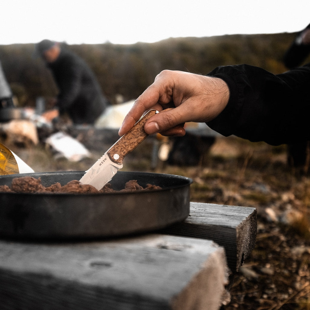The Bornas - Paranoid Ranch