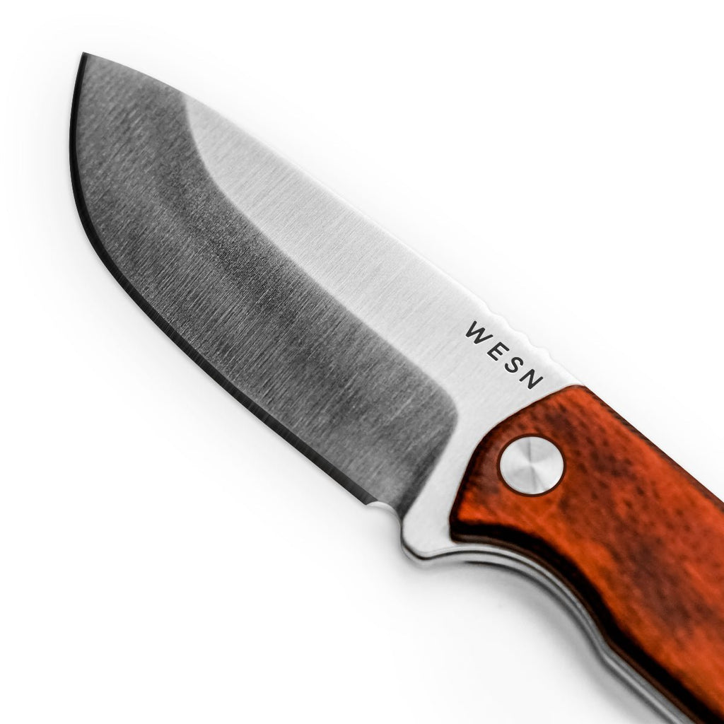 The Bornas - Paranoid Ranch