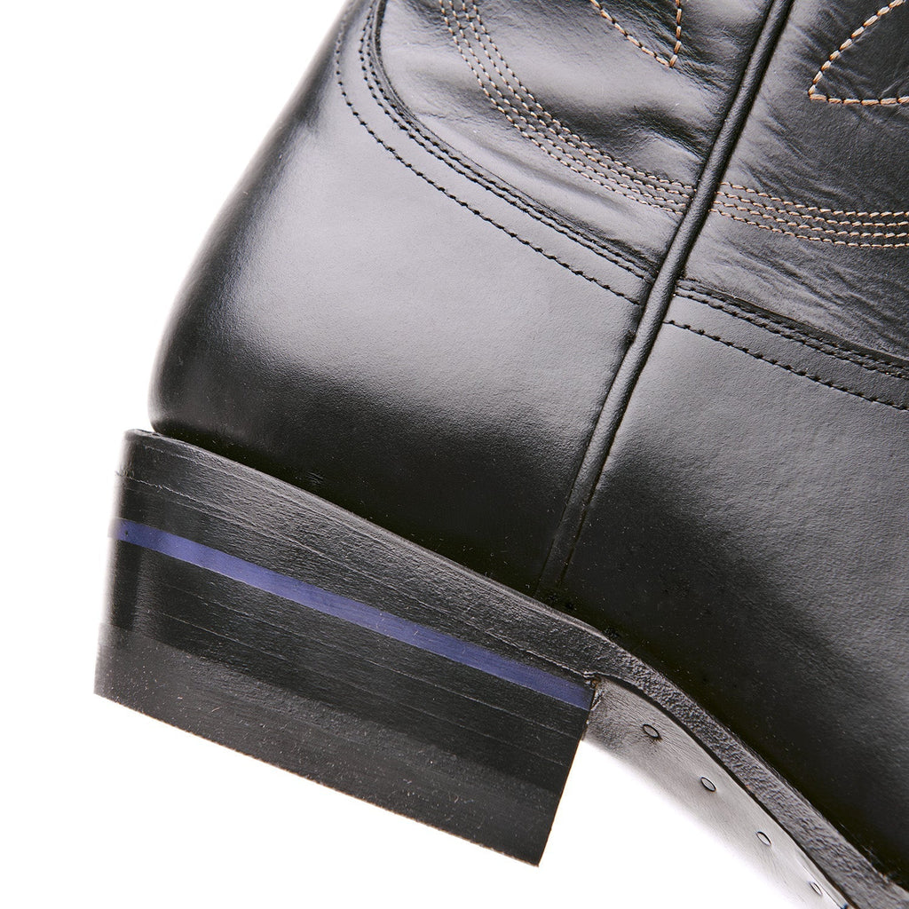 The Comal - Paranoid Ranch