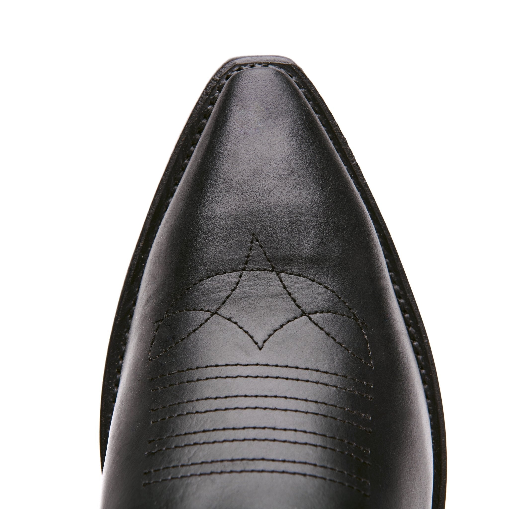 The Comal - Paranoid Ranch