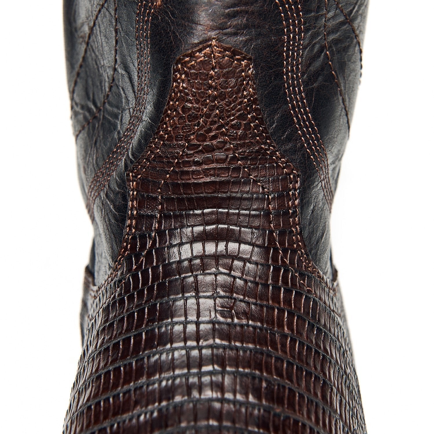 The Congress - Paranoid Ranch