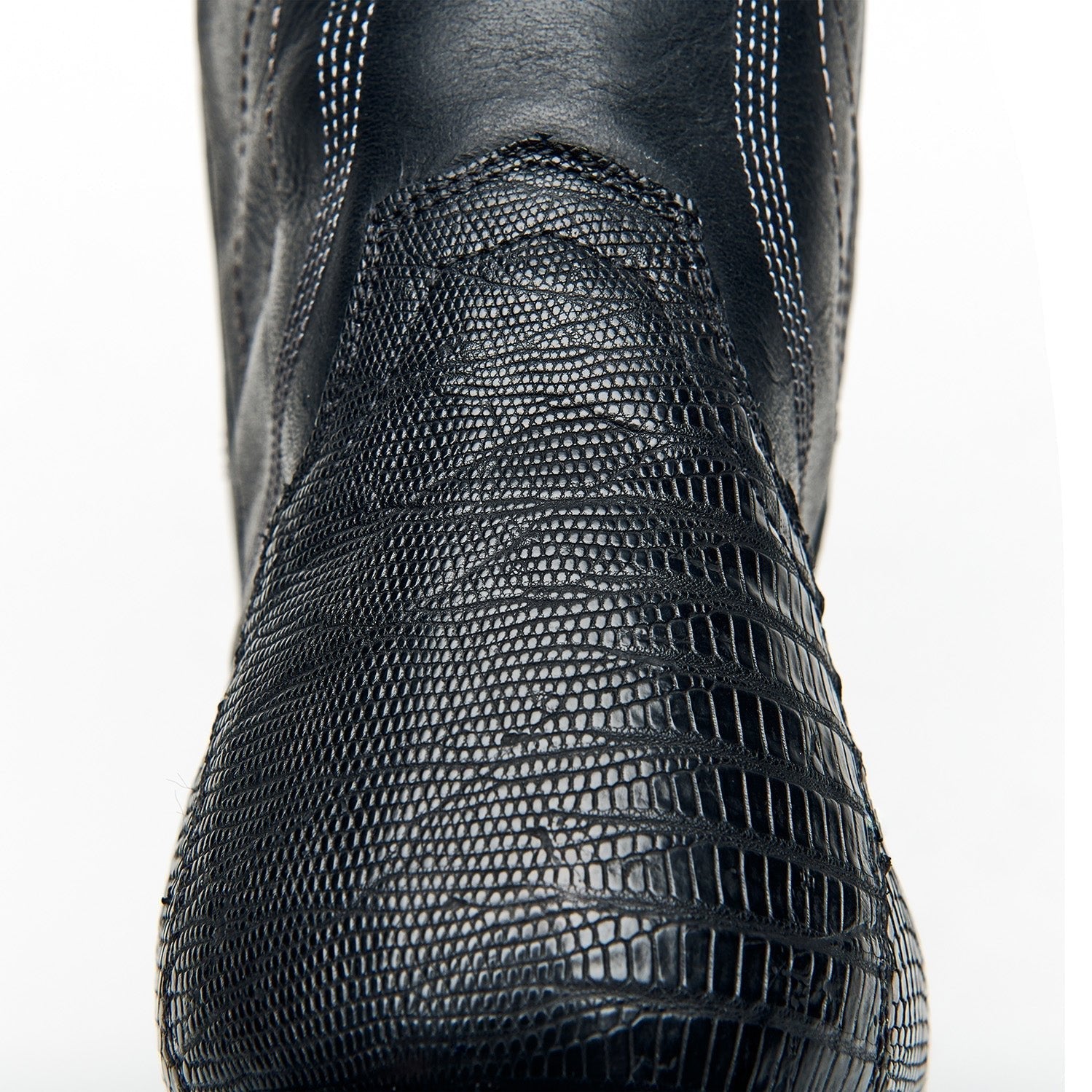 The Congress - Paranoid Ranch