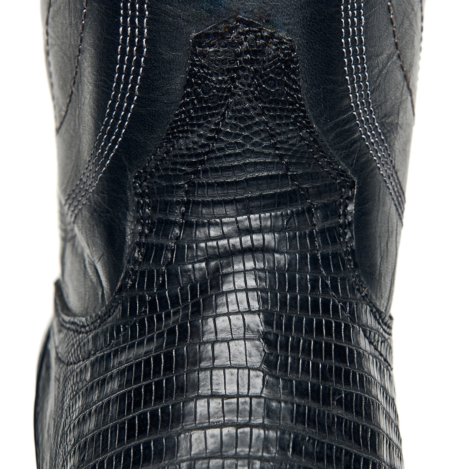 The Congress - Paranoid Ranch