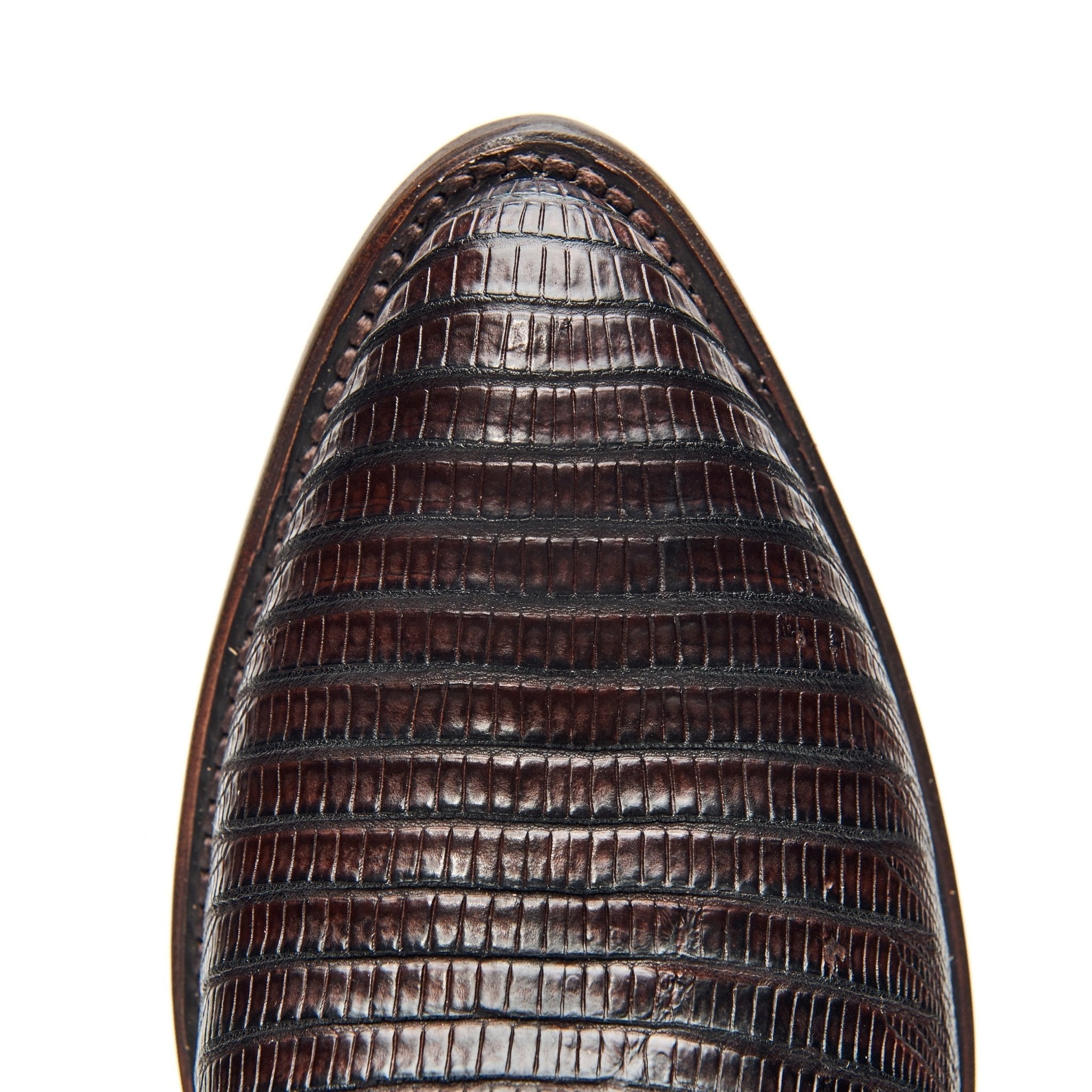 The Congress - Paranoid Ranch