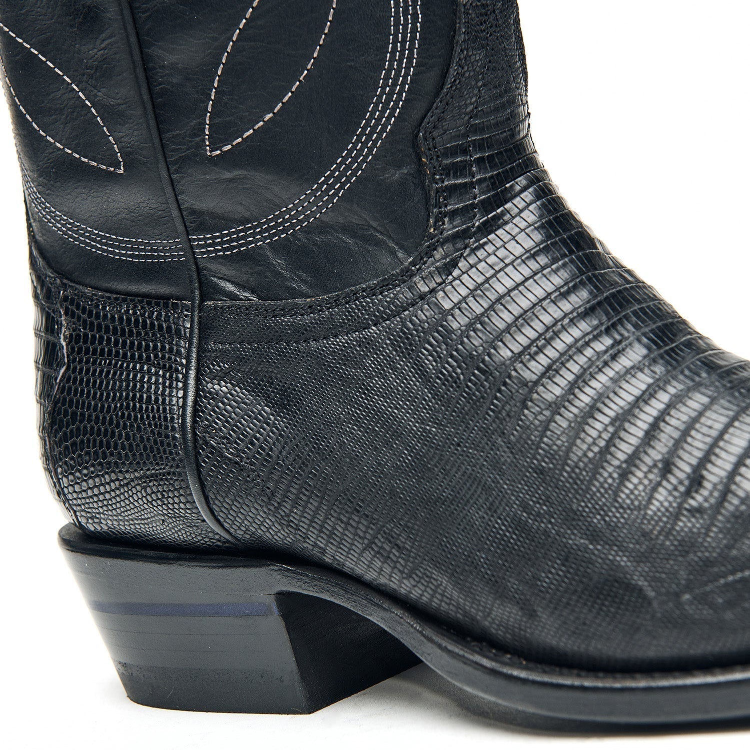 The Congress - Paranoid Ranch