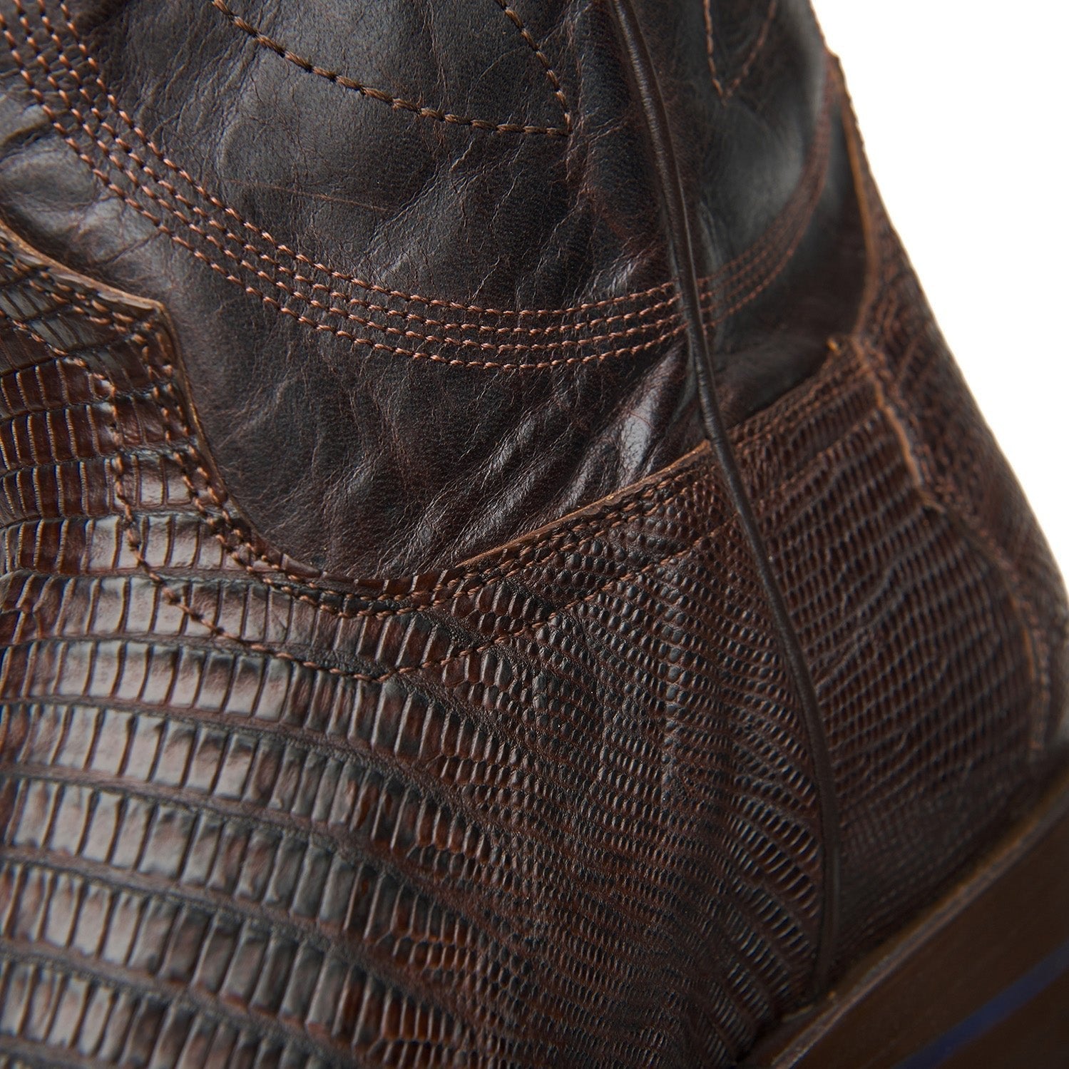 The Congress - Paranoid Ranch