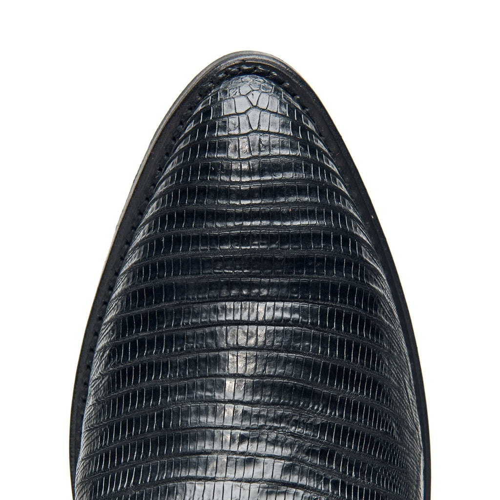 The Congress - Paranoid Ranch