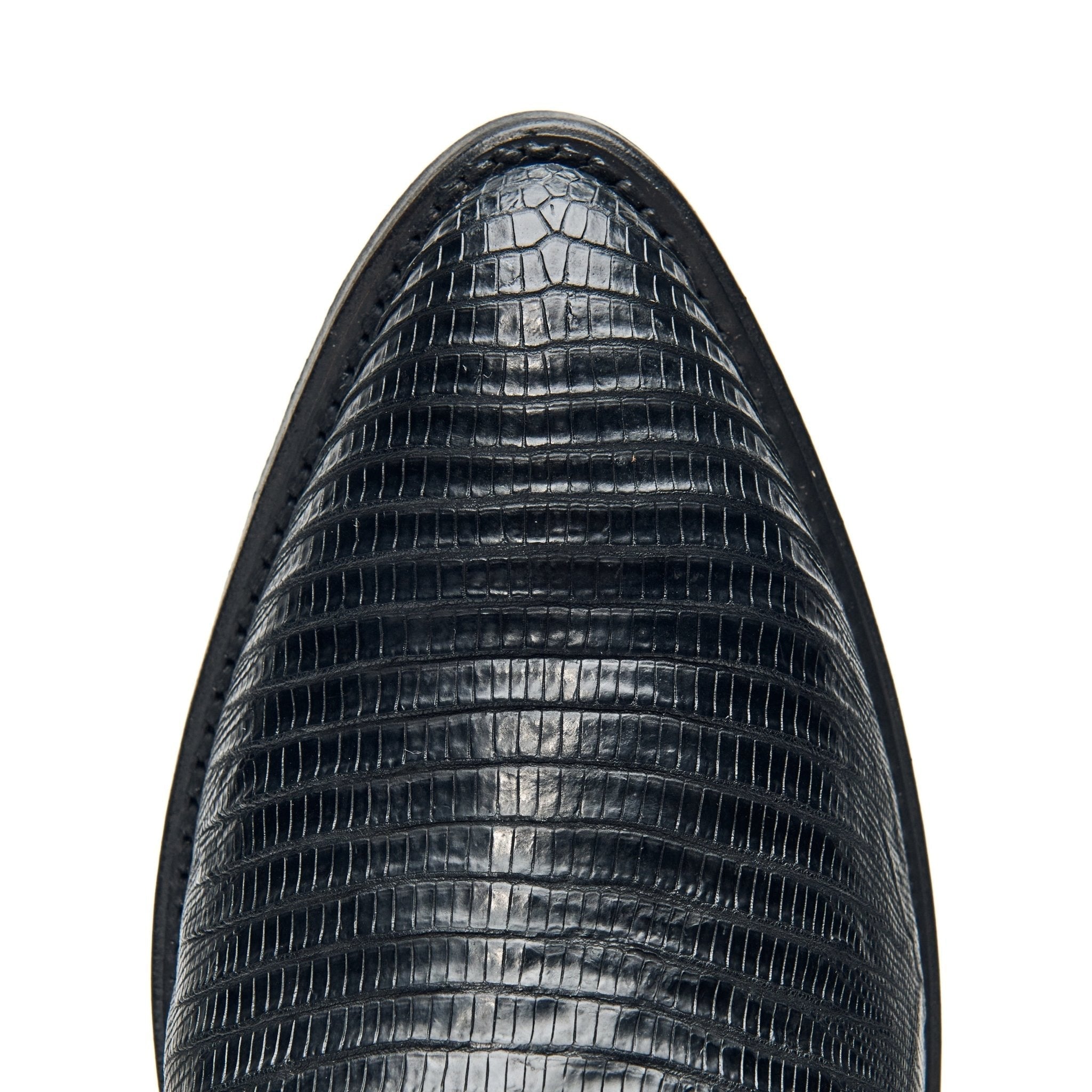 The Congress - Paranoid Ranch