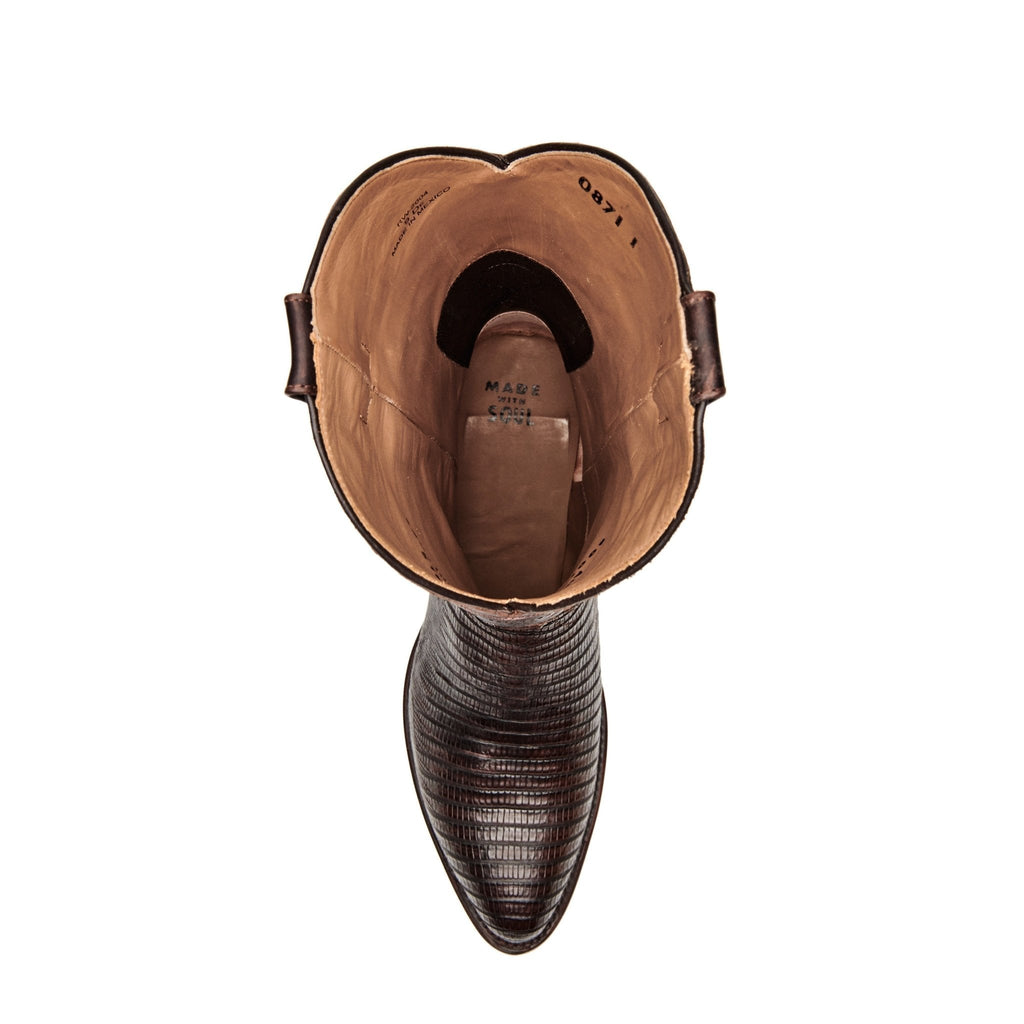 The Congress - Paranoid Ranch