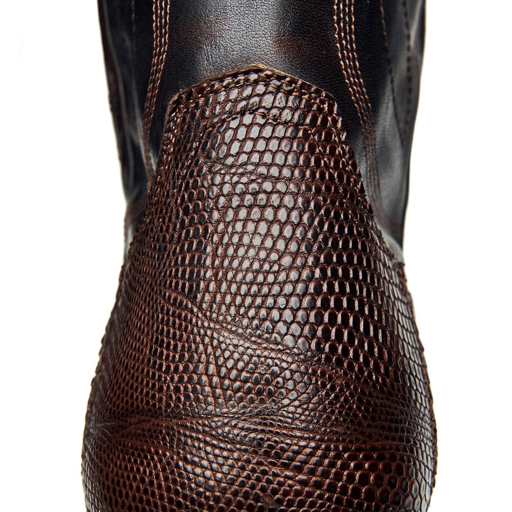 The Congress - Paranoid Ranch