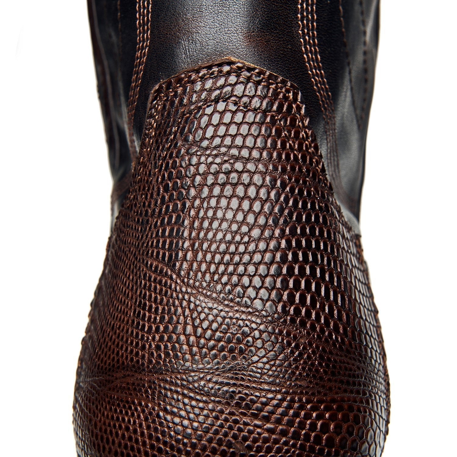 The Congress - Paranoid Ranch