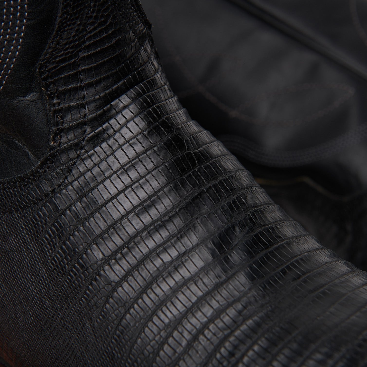 The Congress - Paranoid Ranch