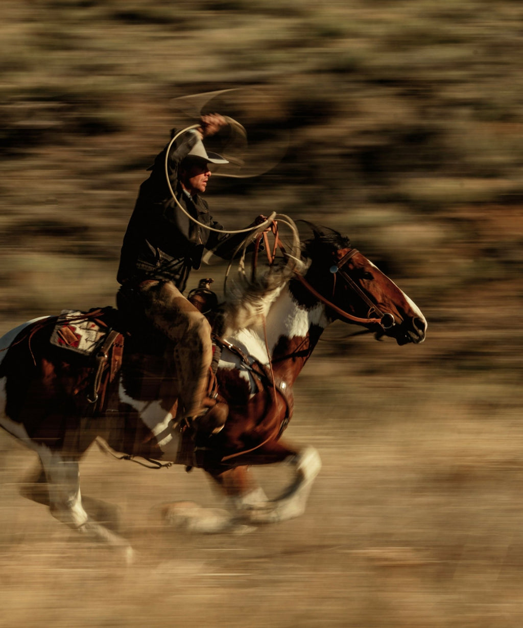 The Cowboy Collection 11 by Ben Christensen Print - Paranoid Ranch