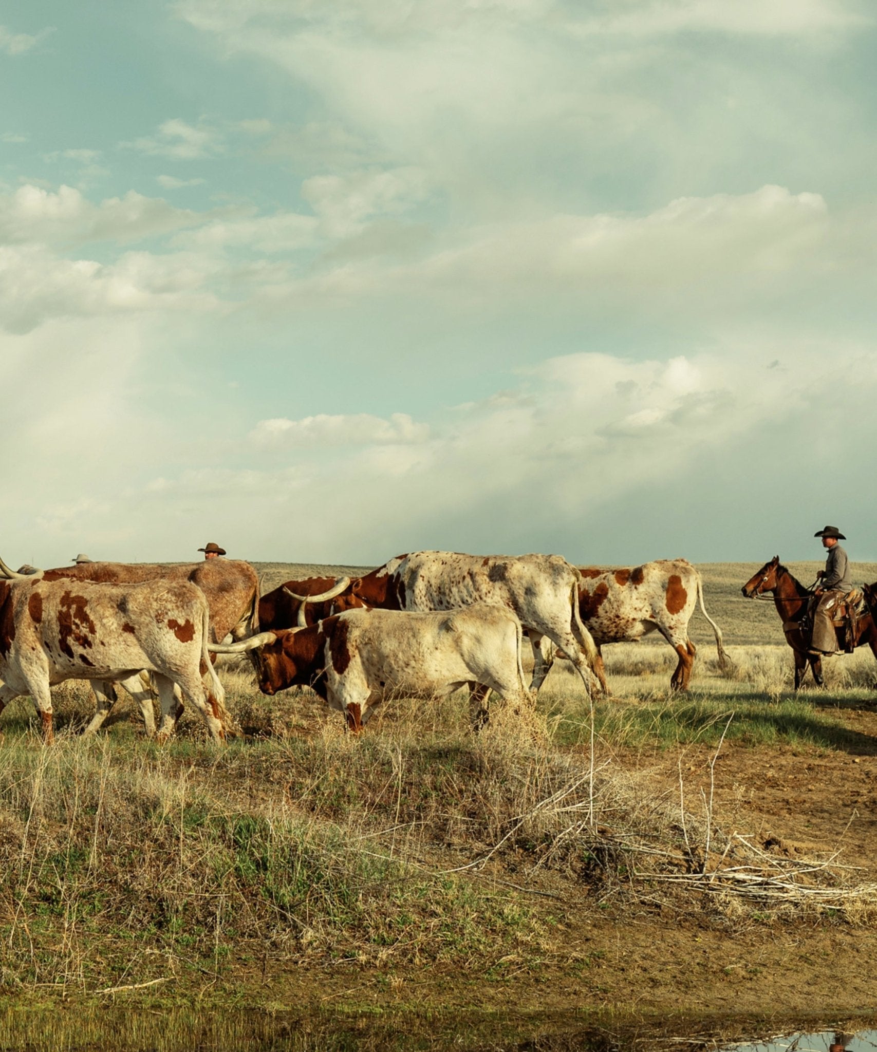 The Cowboy Collection 18 by Ben Christensen Print - Paranoid Ranch