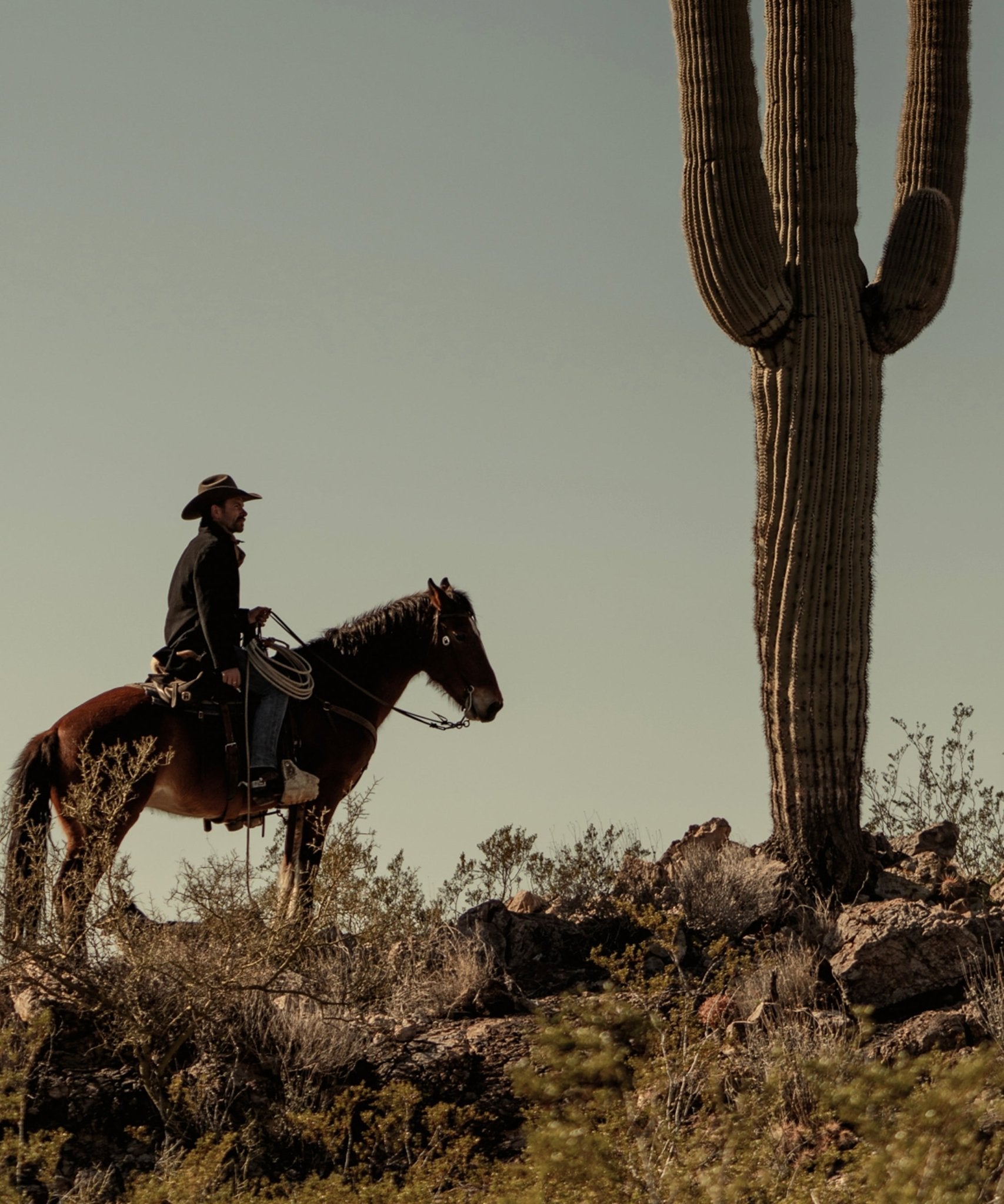The Cowboy Collection 4 by Ben Christensen Print - Paranoid Ranch